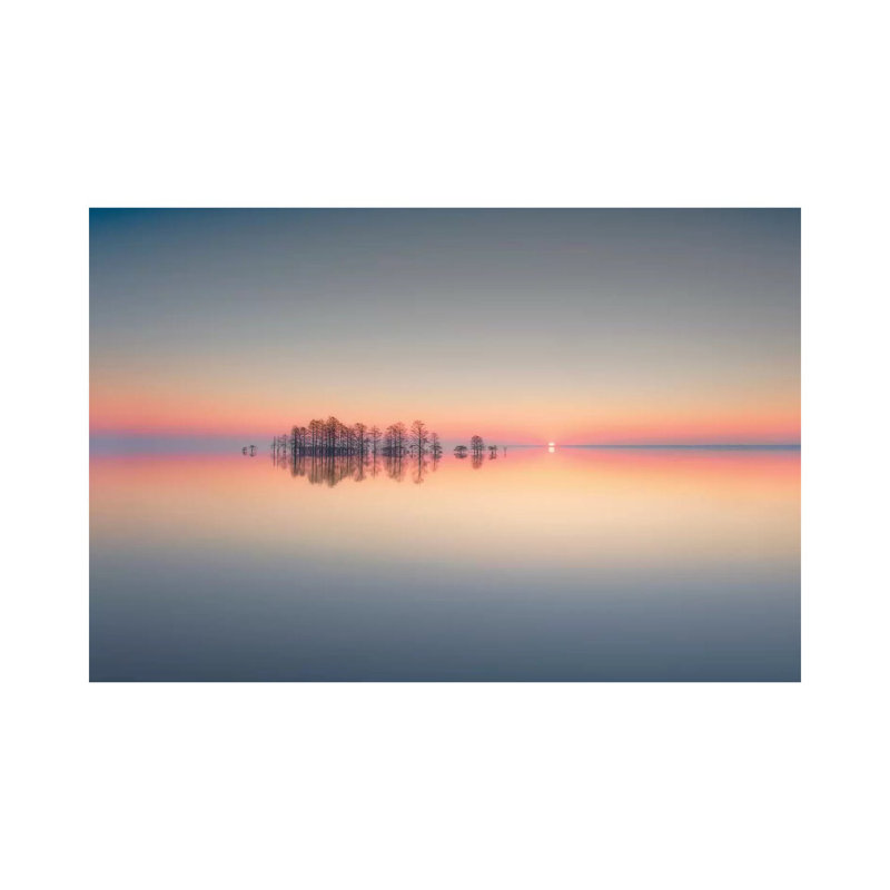 Lake Mattamuskeet Memory by Liyun Yu - Wrapped Canvas Gallery-Wrapped Canvas Giclée, 66.04 cm H x 45.72 cm W x 3.175 cm D