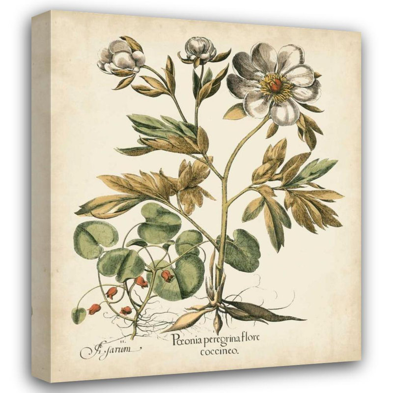 «Red Barrel Studio® Besler, Basilius», reproduction d'art sur toile tendue: Ivory Peony III, H 42 po x l 36 po