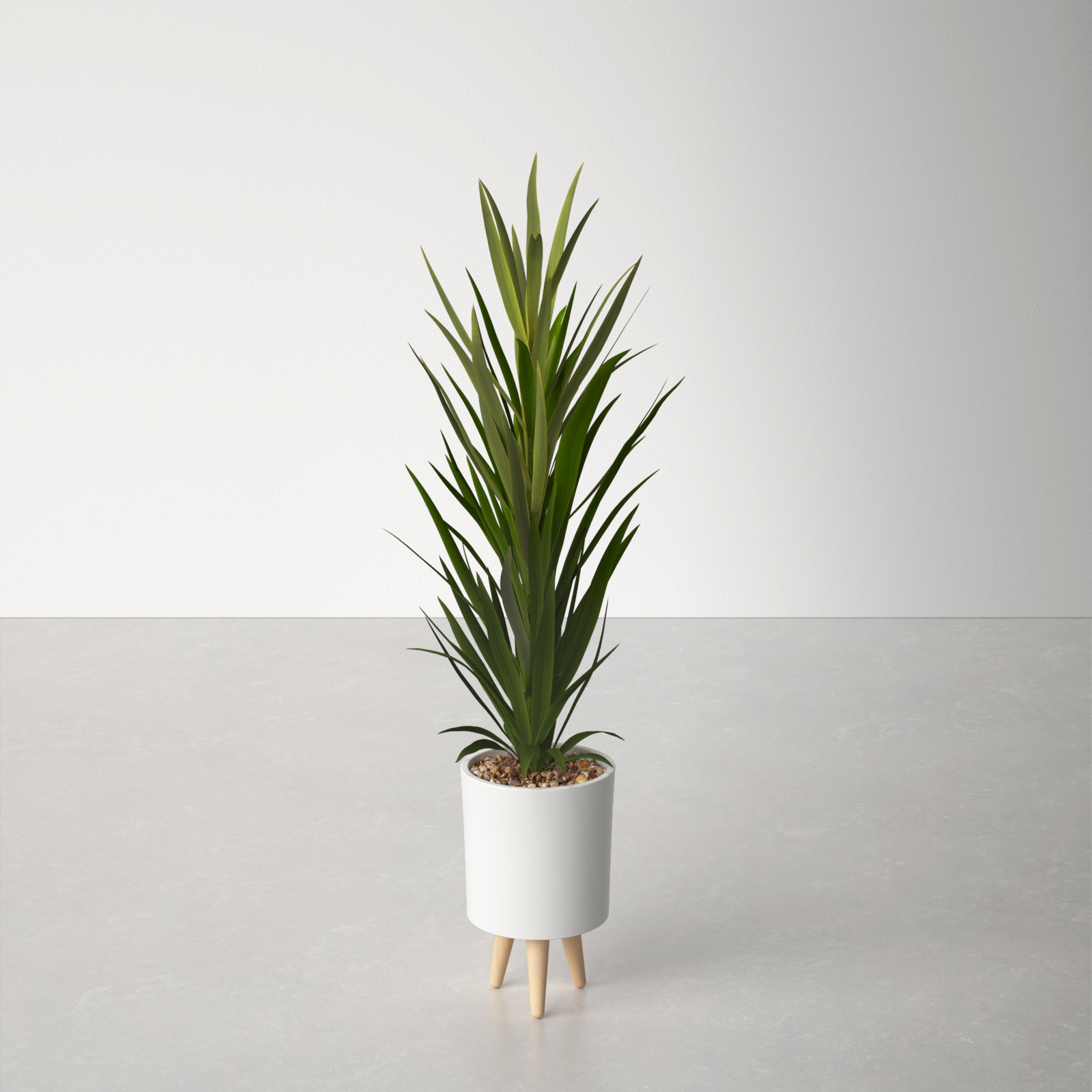 AllModern Artificial Succulent Plant in Pot & Reviews Wayfair