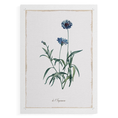 Imperial Blue -Canvas Print Only - NOT FRAMED