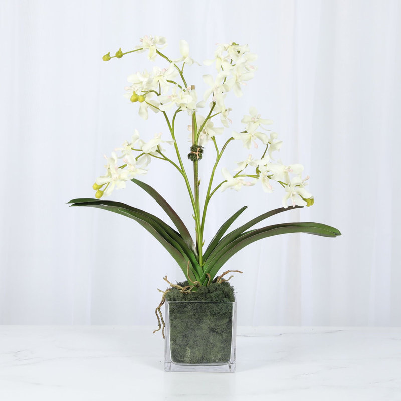 Faux Orchid Plant In White Vase, White
