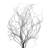 18'' Branch