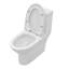 Toilette allongée une pièce à double chasse 1,1 / 1,6 GPF avec siège confortable et surface vitrée en céramique (siège à fermeture en douceur inclus)