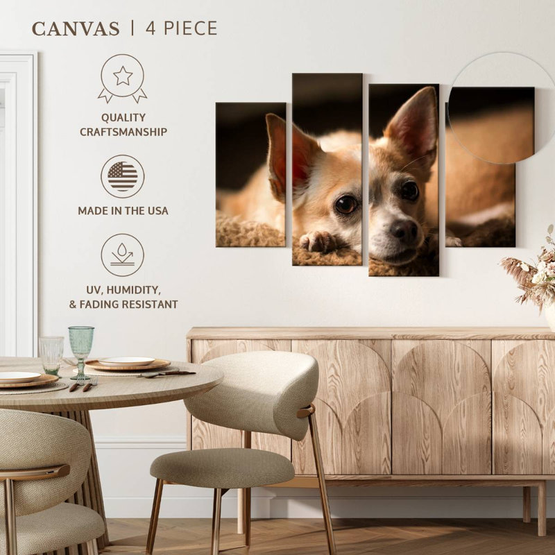 Chihuahua au repos Brampt, H 22 po x l 36 po