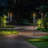Matney Outdoor Decorative Torch Lights