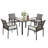 Elegant Backyard Dining Set