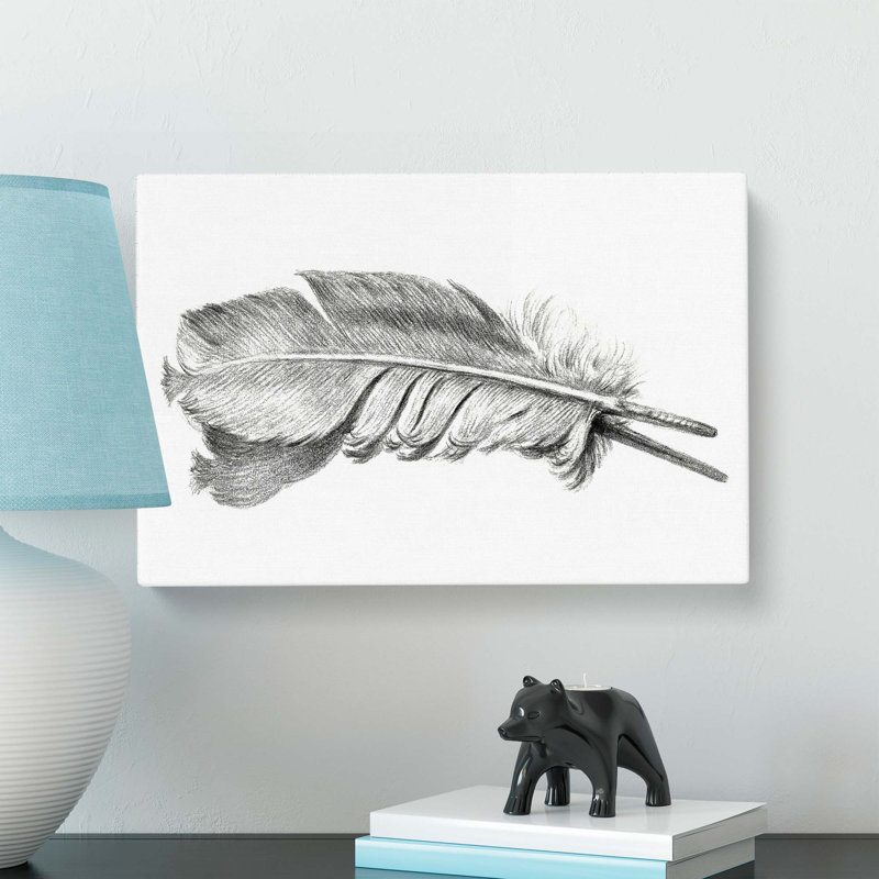 Feather by Jean Bernard - Wrapped Canvas, 35cm H x 50cm W x 3cm D