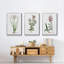 " Rose Botanical I " 3 - Pieces-91891239-91891241