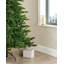 7' H Himalayan Fir Christmas Tree