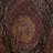 Raychel Vinyl Animal Print Wallpaper Roll