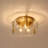 3 Heads Ceiling Light