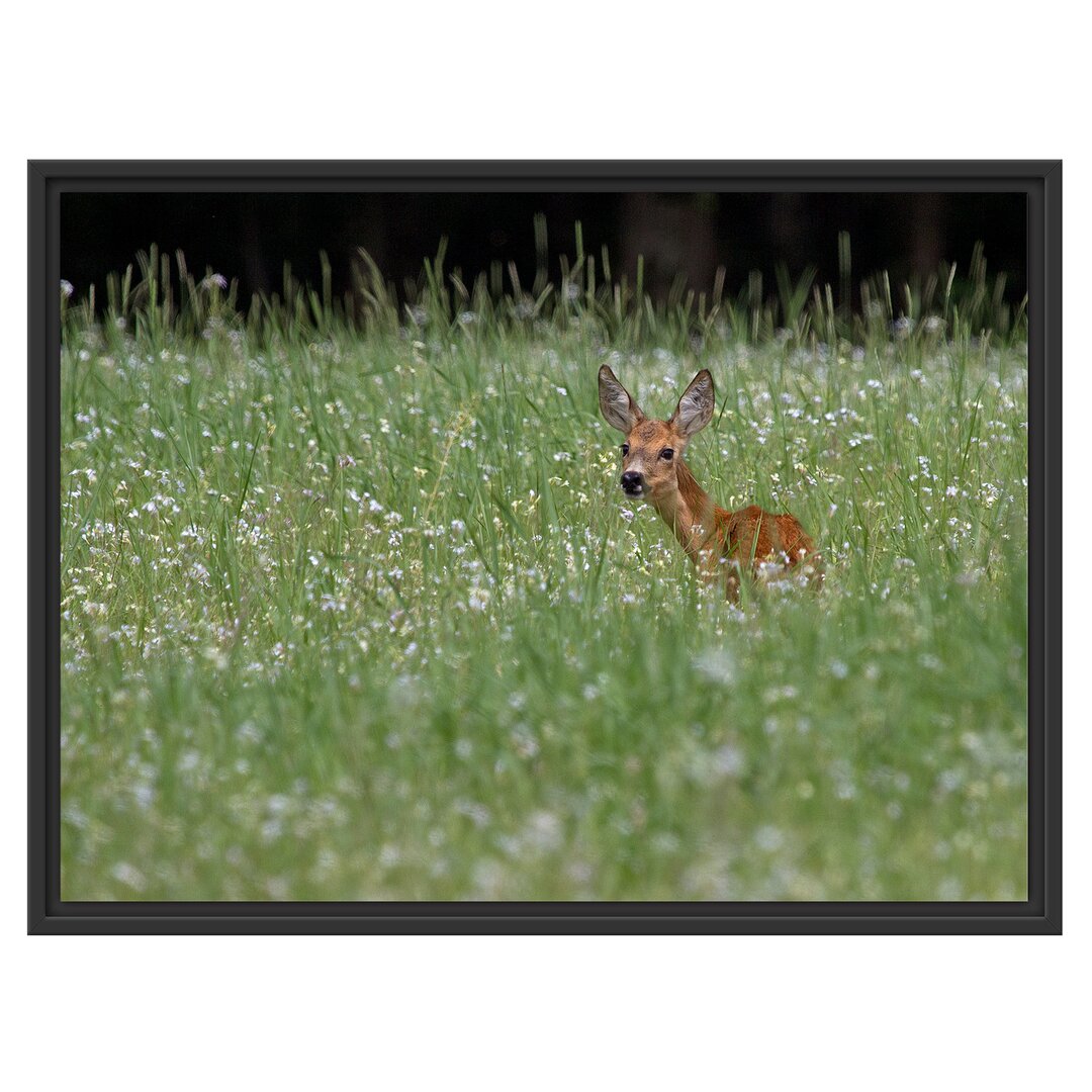 Gerahmtes Wandbild kleines Rehkitz auf Wiese