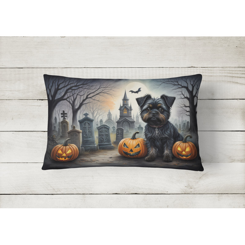 Other/No Pattern Outdoor Throw Pillow