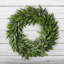 Couronne en polyester Ficus Microphylla-38378224