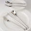 Dragonfly 5 Piece 18/10 Stainless Steel Flatware Set, Service for 1