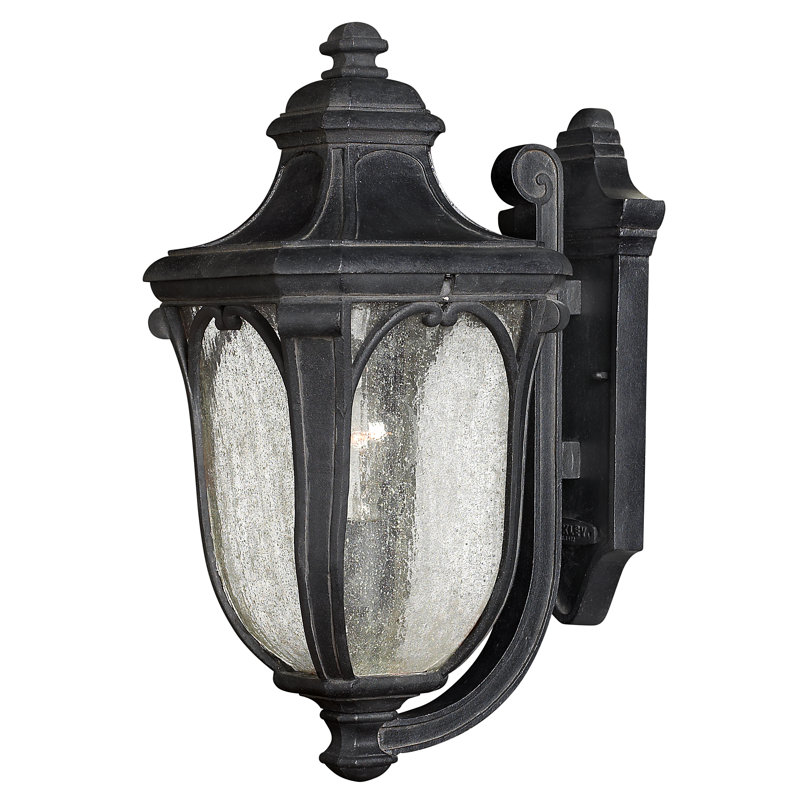 Museum Black Cast Aluminum Outdoor Wall Sconce with Seedy Glass