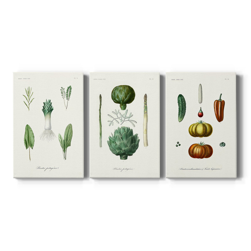 Fruit et légumes Variétés I - Toile tendue sur mesure avec châssis - 3 pièces, H 36 po x l 72 po