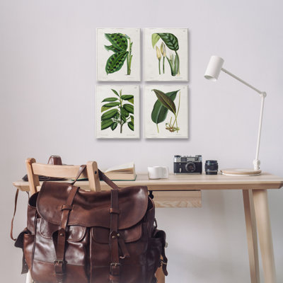  Tropical Plant Latin Studies 4 PC Canvas Wall Art Set by Tina Higgins Designs, Inc.