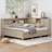 Wood Daybed With Sturdy Construction Multi-Storage Shelves And 3 Drawers No Box Spring Required-749261740
