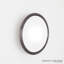 Oculus Mirror-Med-160713125