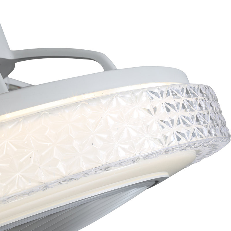 Ceiling Fan with LED Lights