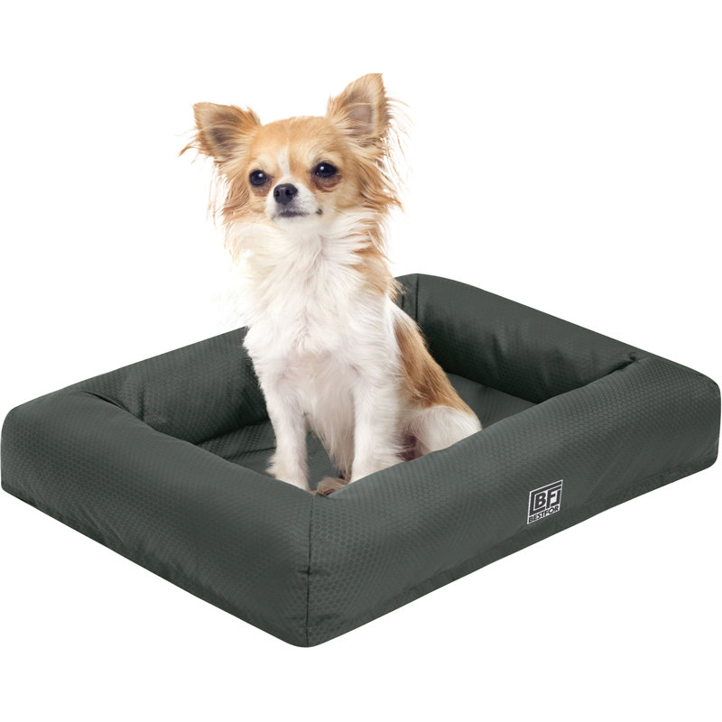 Talli Orthopedic Pet Bed, 8cm H x 38cm W x 51cm D