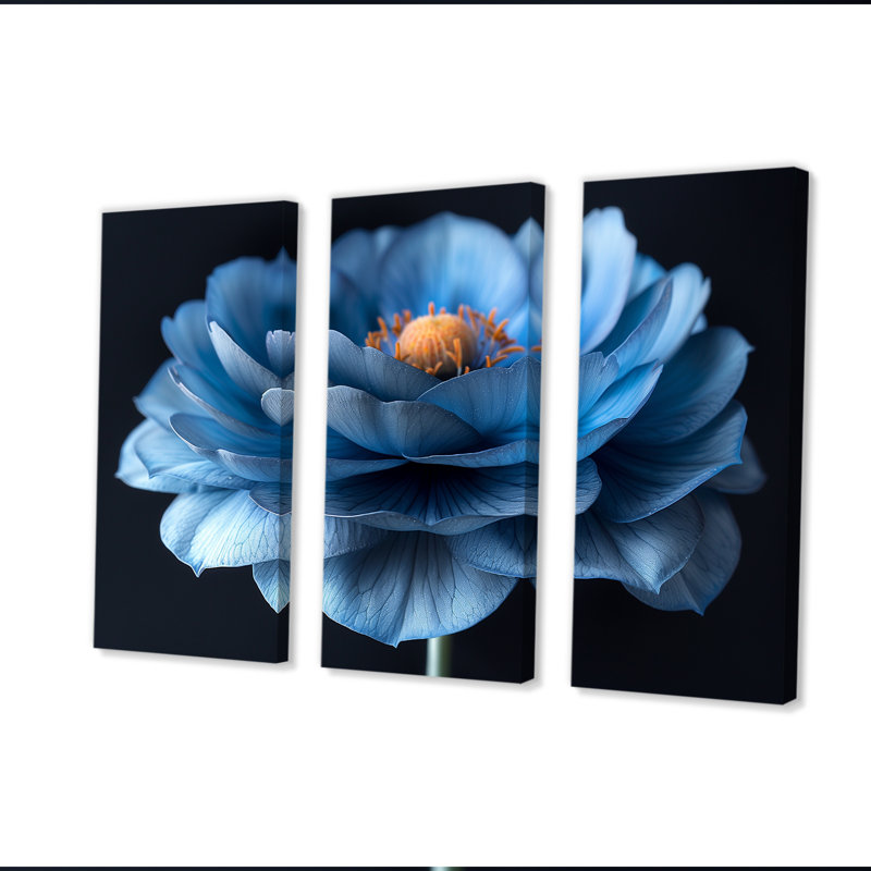 Bleu orange délicat Marigold Photo I - ensemble de salon d'art mural souci, H 28 po x l 36 po x P 1 po