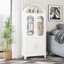 Metal Tall Arched Cabinet-657436360