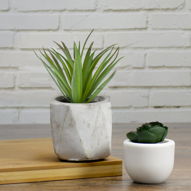 Plante grasse artificielle en pot 6 po