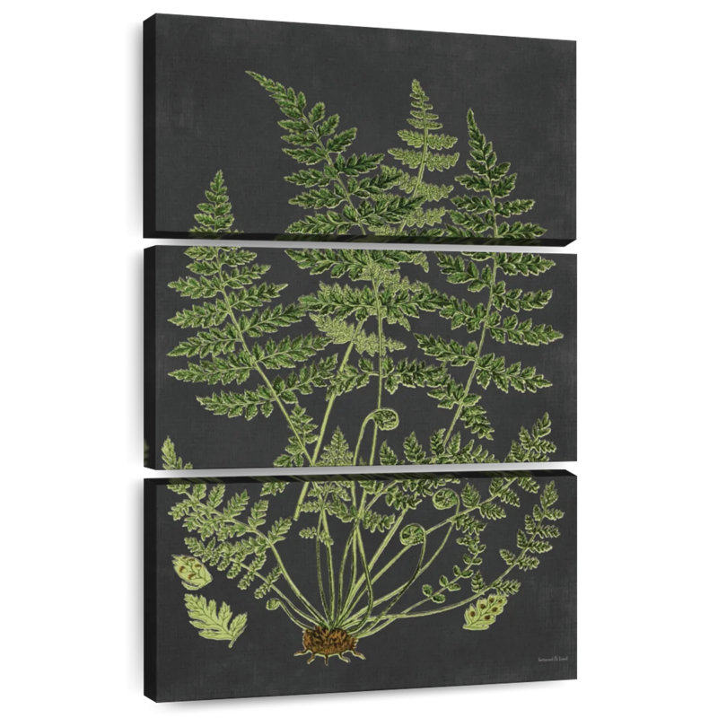 Harnek Fern Study, H 32 po x l 20 po