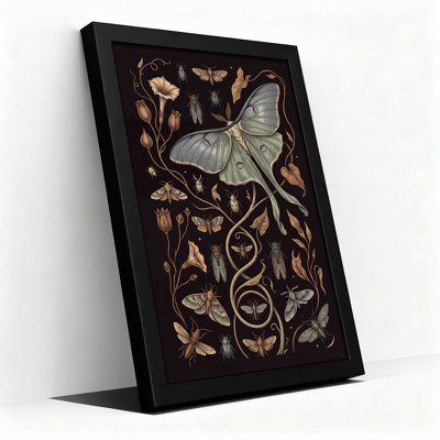 Vintage Moth and Insect Illustration with Floral Vines Canvas Wall Art
