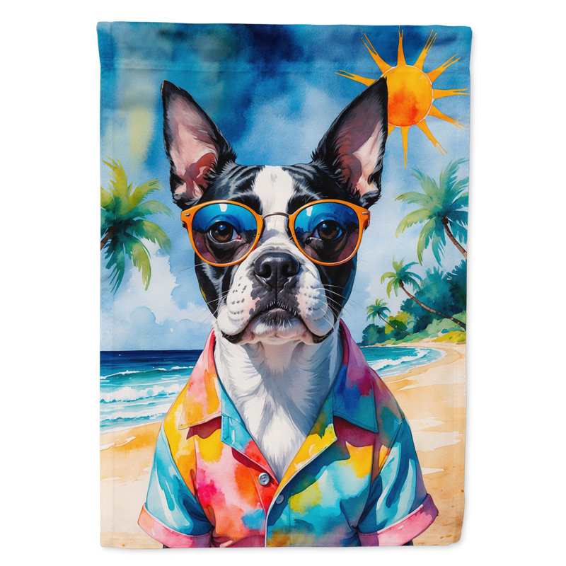 Drapeau de la maison esquimau américain, Boston-terrier