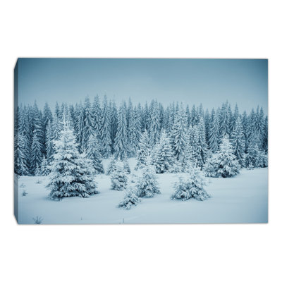 Snowfield Evergreens Winter Pine Forest Wrapped Canvas Wall Art