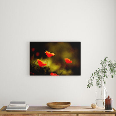 1 Piece Wrapped Canvas Wall Art