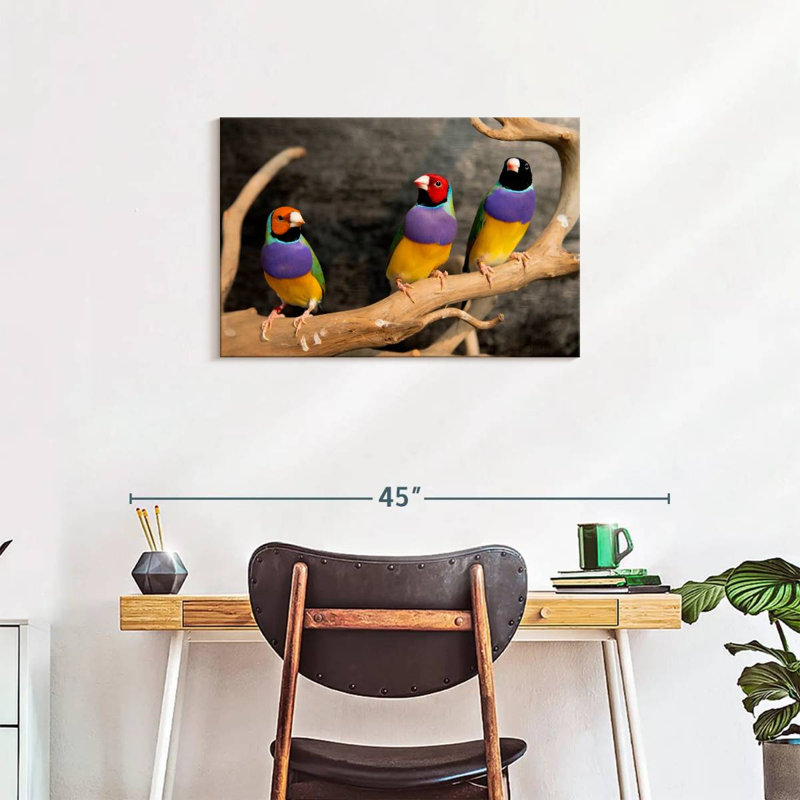 Rainbow Finches, 20" H x 30" W