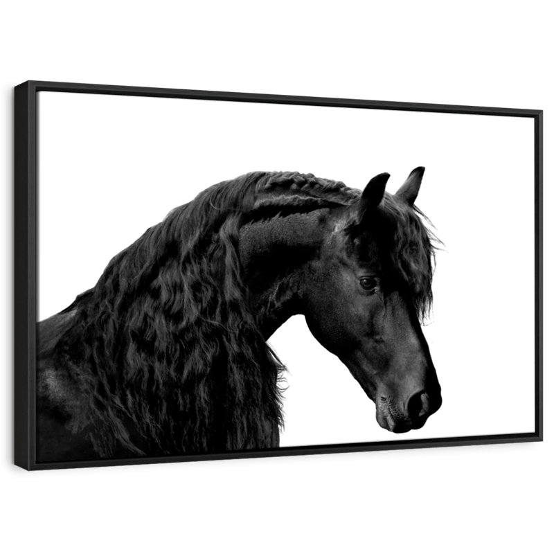 Animal «Classic Black I», reproduction sur toile, H 9 po x l 13 po