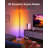  RGBICW Smart Floor Lamp Basic