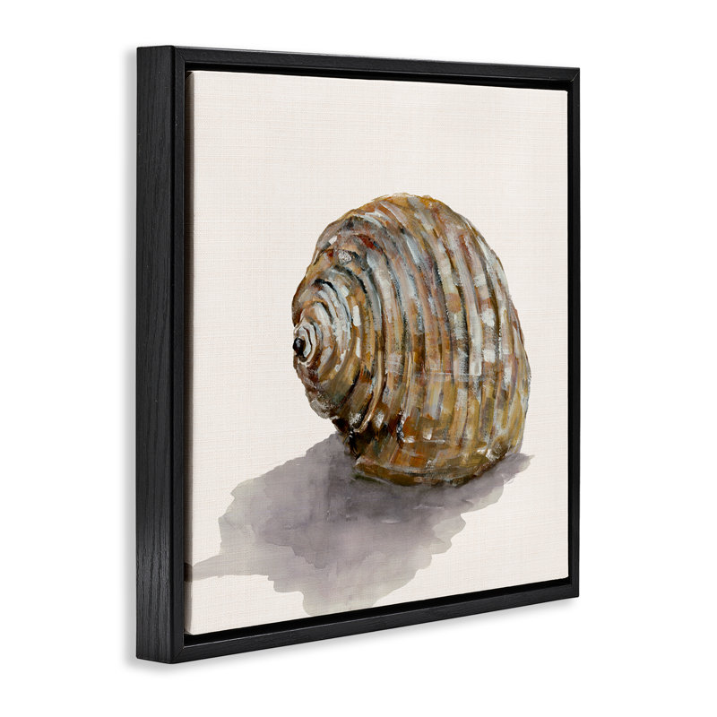  "Coquillage courbé sur toile flottante encadrée" par Jacob Q, Cadre flottant noir de jais, H 18 po x l 18 po