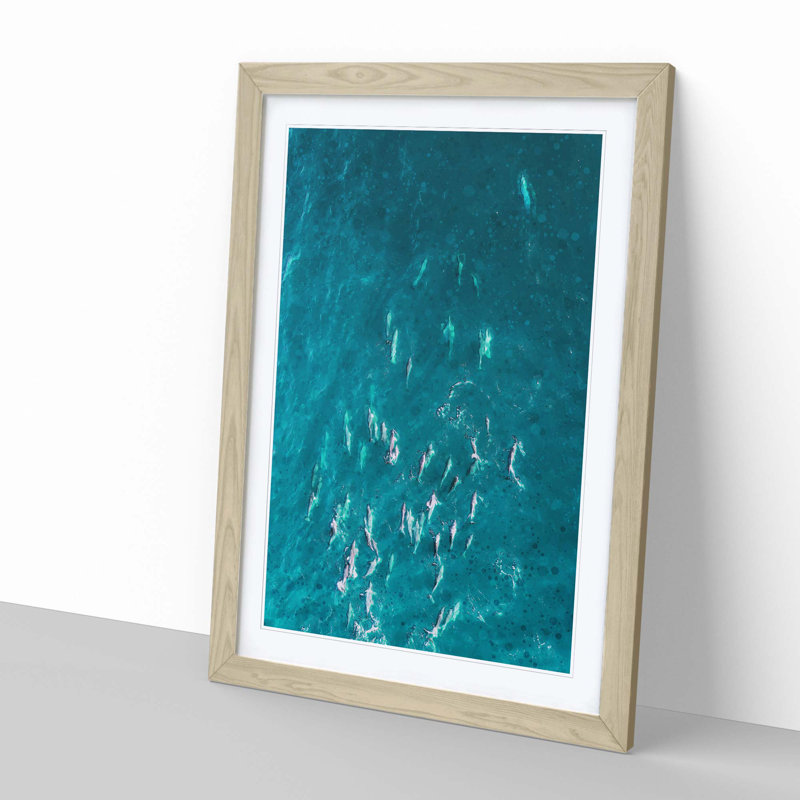 Many Dolphin in Abstract - Framed Print, 76cm H x 50cm W x 2cm D, Oak