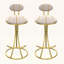 Ensemble de 2 chaises d'appoint rembourrées-1085464589