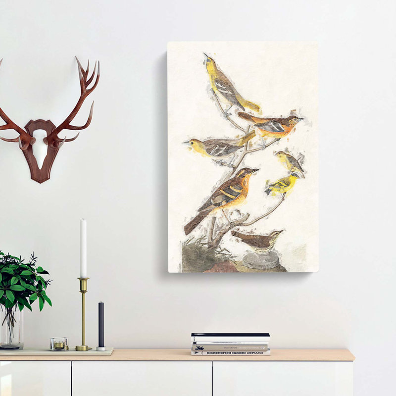 A Collection of Birds by John James Audubon - Wrapped Canvas, 60cm H x 40cm W x 3cm D