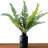Samuels 19.7'' Faux Fern Plant