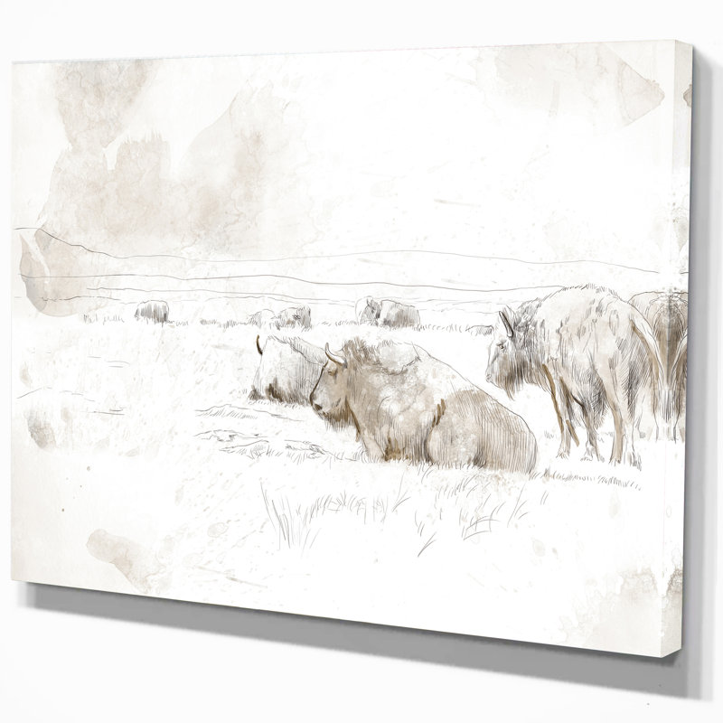 Wild Bison Buffalo - reproduction d'art, H 30 po x l 40 po x P 1,5 po, Toile tendue
