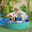 Piscine extérieure pour chien-33695656