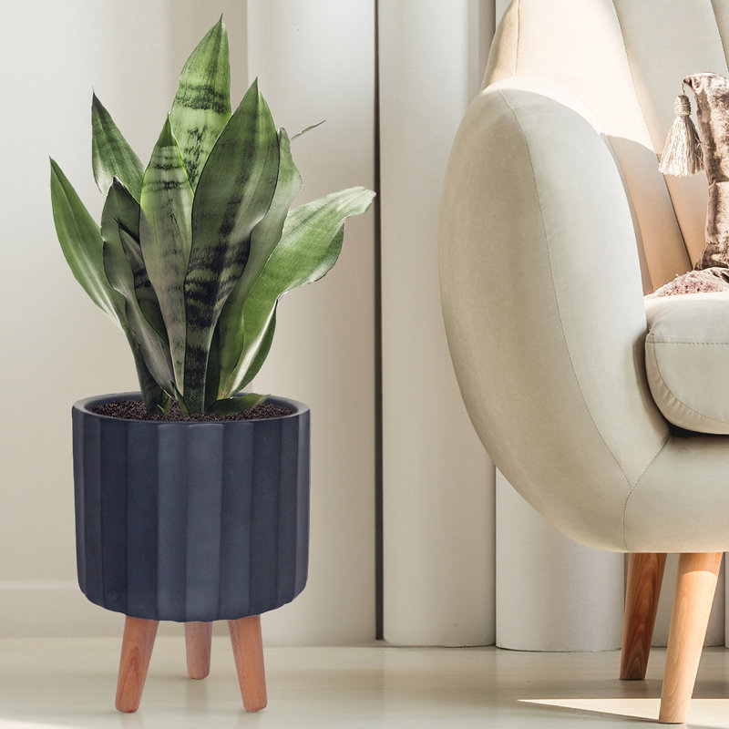 Modern Ribbed Cylinder Round Planter with Feet, Black, 32cm H x 24cm W x 24cm D