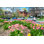 Homes in the Annex Neighbours par Benedek