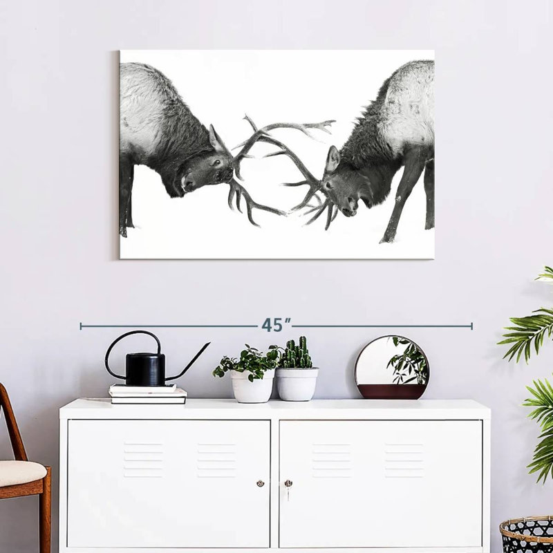 Brampt Fighting Elks, 24" H x 36" W