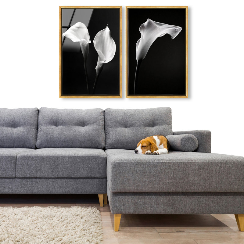 Calla Lily Set High-Gloss Frameless Acrylic Glass Wall Art Floral & Botanical Print by Oliver Gal, Ready to Hang, 10 x 15