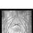 Wall Decor-1524784242