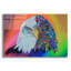 Bungalow Rose «Animals Of Pride - Eagle» par Martin Nasim, art mural en verre acrylique, ACR-37519-1322342095